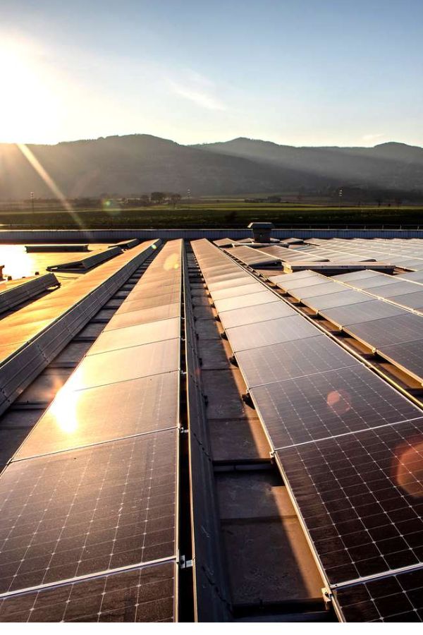 Creative Manner Design Lorem Ipsum Sit Amet Consectetur dipisi?